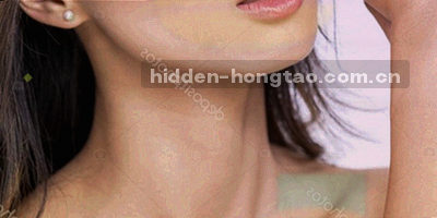 多个分类图标组成的辐射图，中心为红桃视界索引入口
